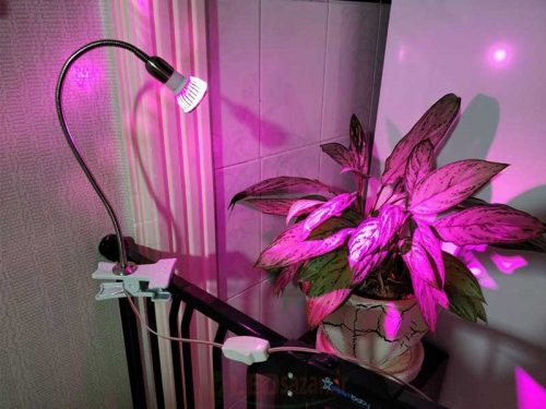lamp payeh 500x375 - راهنمای خرید لامپ رشد گیاه