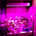 وال واشر LED رشد گیاه ۵۴ وات فول اسپکتروم