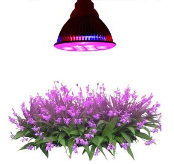 Best led grow lights review hydroponic supplies raysace - best-led-grow-lights-review-hydroponic-supplies-raysace