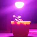 لامپ ۲۷ وات رشد گیاه مدل حبابی فول اسپکتروم