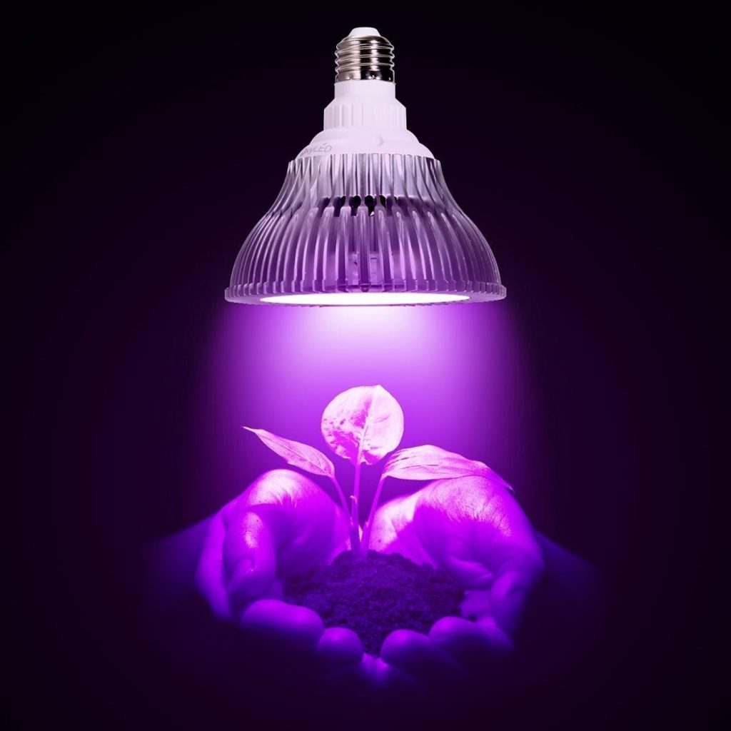 6174kigQMFL. SL1200  1024x1024 - لامپ led رشد گیاه