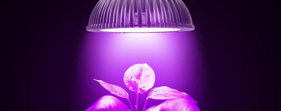 6174kigQMFL. SL1200  1138x450 - لامپ led رشد گیاه