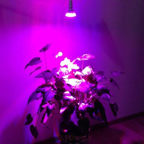 LED Grow Light lights 500x500 -