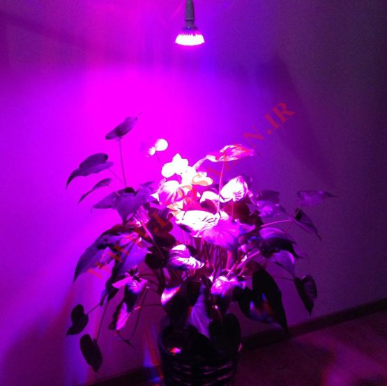 لامپ ۳ وات ~ ۹wl مخصوص رشد گیاه مدل لنز دار فول اسپکتروم