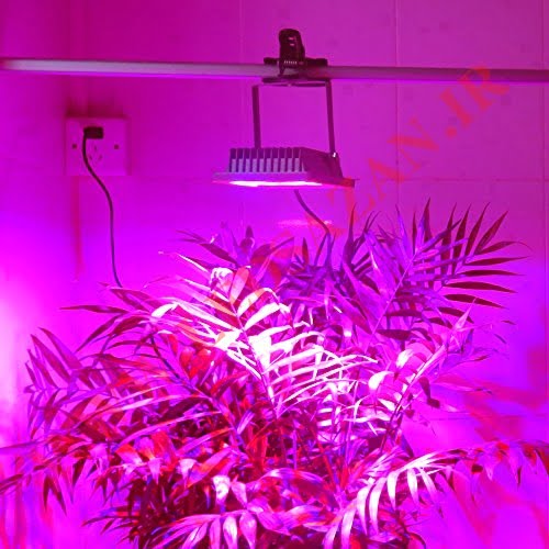 Remote Intelligent Control LED Plant Grow Light for Garden Greenhouse Hydroponic Indoor Cultivation SMD flood light 0 3 - remote-intelligent-control-led-plant-grow-light-for-garden-greenhouse-hydroponic-indoor-cultivation-smd-flood-light-0-3