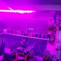 وال واشر LED رشد گیاه ۳۶ وات ~ ۱۱۰wl فول اسپکتروم
