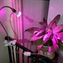 لامپ رشد گیاه ۳ وات ~ ۹wl با پایه خرطومی فول اسپکتروم