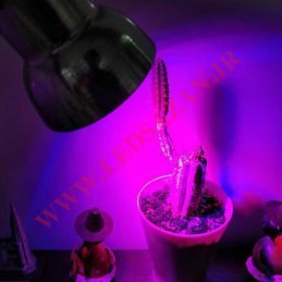 لامپ ۷ وات ~ ۲۱wl مخصوص رشد گیاه کاکتوس