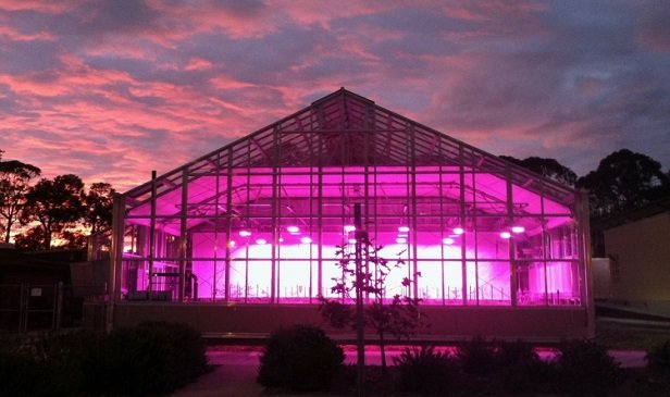 research gh - روشنایی LED برای کشاورزی و گلخانه ها