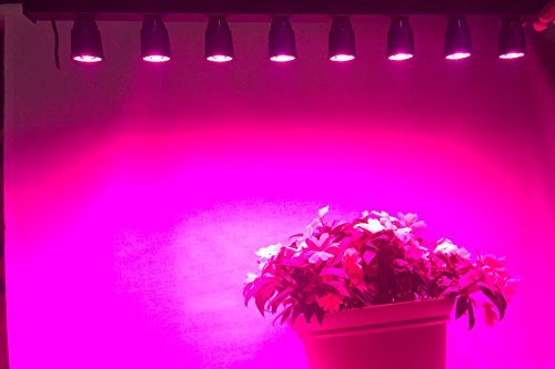 Smart LED Grow Lights Wicked 170Banshee WS265 COB LED Xenon UV Hybrid Grow Light with Wicked Stick Veggitation Lighting 0 3 500x333 - Smart-LED-Grow-Lights-Wicked-170Banshee-WS265-COB-LED-Xenon-UV-Hybrid-Grow-Light-with-Wicked-Stick-Veggitation-Lighting-0-3
