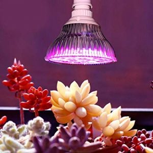 لامپ رشد گیاه ۱۸ وات ~ ۵۴wl مدل لنز دار فول اسپکتروم