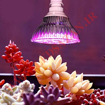0323429 - مزایای استفاده از لامپ ال ای دی رشد گیاه