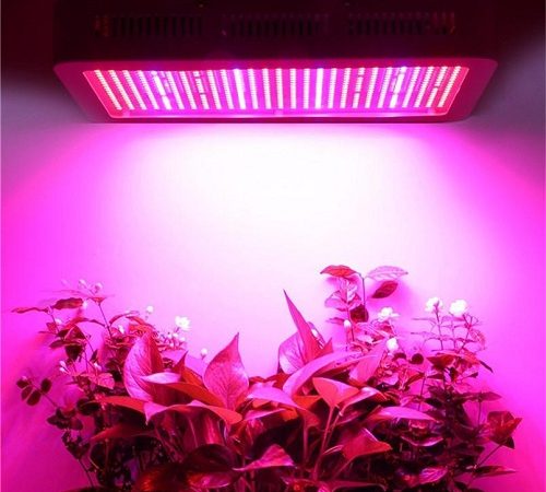 Grow Light System In Complete hydroponic 500x450 - طیف کامل ال ای دی رشد گیاه چیست؟
