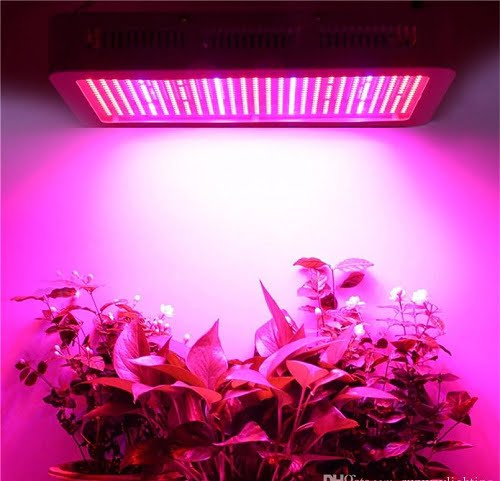 Grow Light System In Complete hydroponic - Grow-Light-System-In-Complete-hydroponic