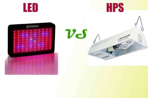 Led vs HPS 500x331 - Led-vs-HPS