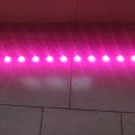 وال واشر LED باریک رشد گیاه ۱۲ وات ~ ۳۶wl فول اسپکتروم