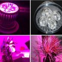 لامپ رشد گیاه ۵ وات ~ ۱۵wl لنزدار با پایه خرطومی فول اسپکتروم