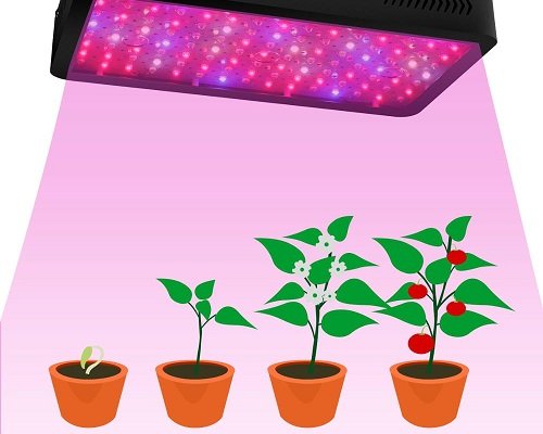 1200W LED Grow Light Lamp Plants Flower Organic Growing Full Spectrum Double Switch Plant Light for - لامپ رشد گیاه چیست؟