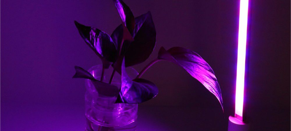 61R18pMp3CL 1000x450 - آموزش ساخت لامپ رشد گیاه