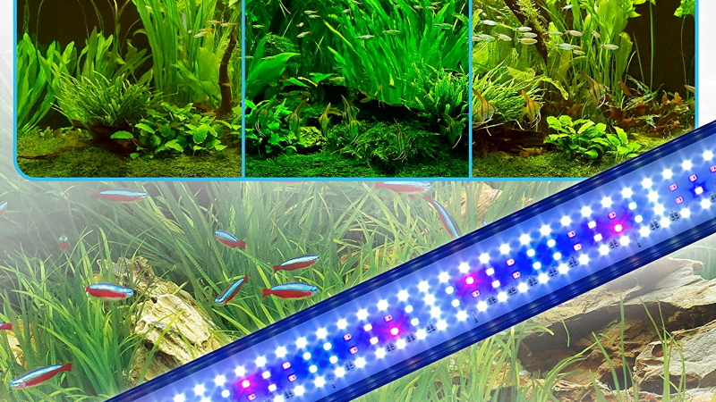 agriculture led lighting 800x450 - نور آکواریوم گیاهی با ال ای دی