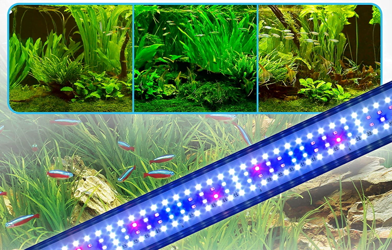 agriculture led lighting - agriculture-led-lighting
