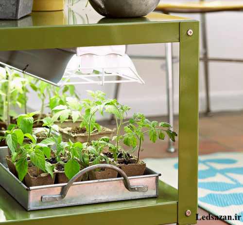 چگونه بهترین لامپ رشد گیاه را برای گلخانه انتخاب کنیم؟