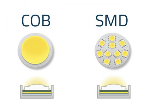 تفاوت بین COB و  SMD رشد گیاه