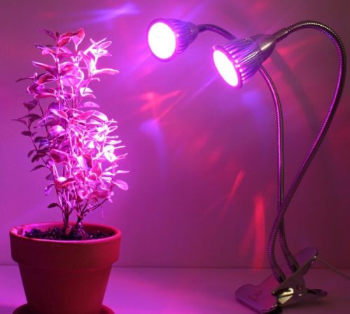 grow light led 500x449 - تفاوت لامپ رشد گیاه ال ای دی با لامپ معمولی ال ای دی