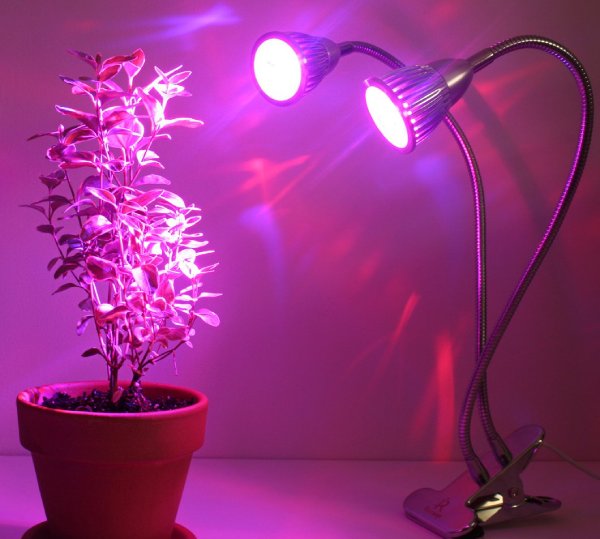grow light led - grow-light-led