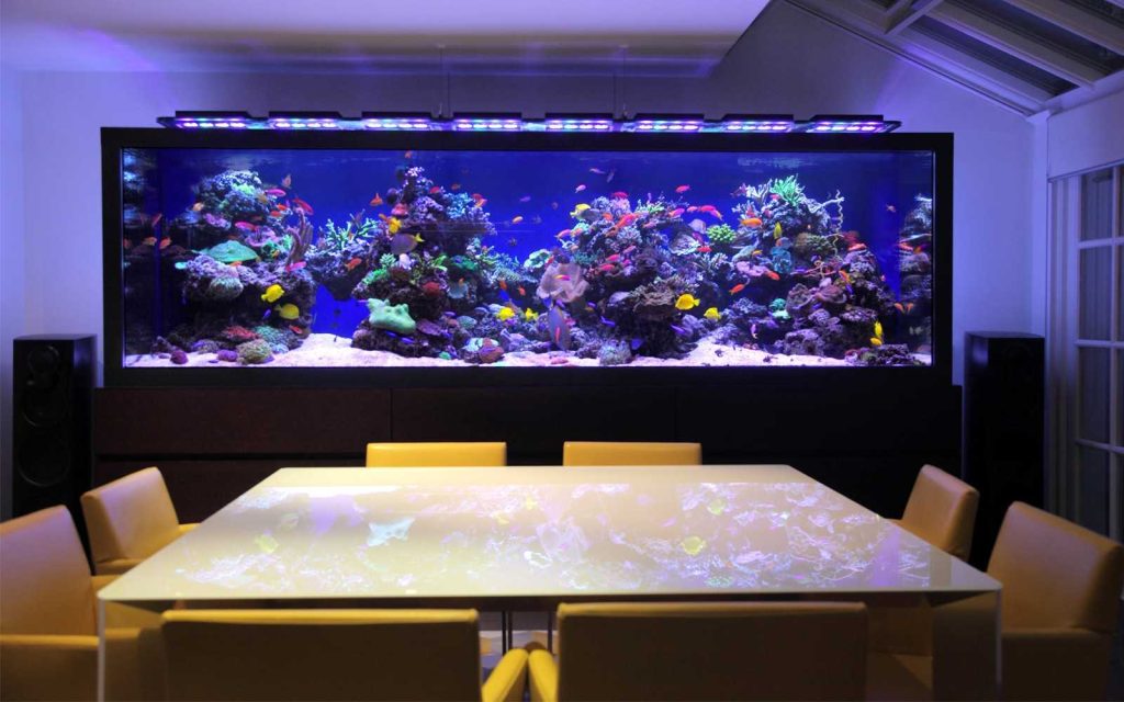 lighting with aquarium 1024x640 - روشنایی آکواریوم آب شور