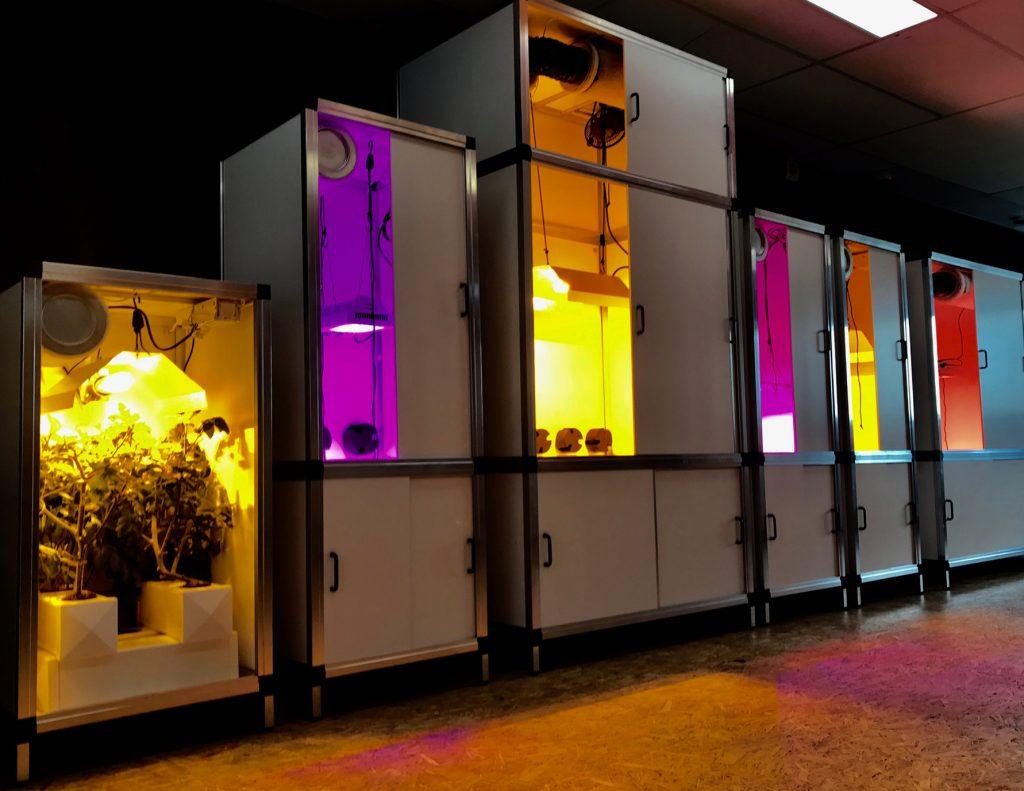 grow box 1024x791 - همه چیز درباره باکس های رشد گیاهان