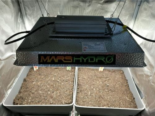 mars hydro ts 1000w led grow light 22 1 500x375 - mars-hydro-ts-1000w-led-grow-light-22-1