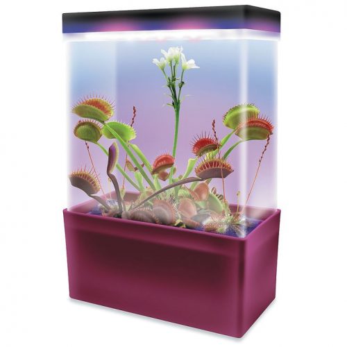 venus grow light 500x500 - پرورش و نگهداری گیاهان گوشت خوار با لامپ رشد گیاه