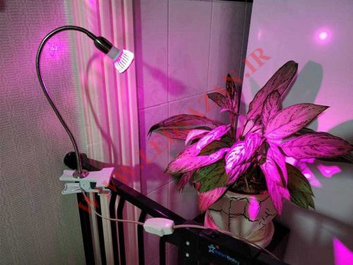 9 1 500x375 - ۳ راه بهینه سازی پرورش گیاهان زینتی با لامپ رشد گیاه