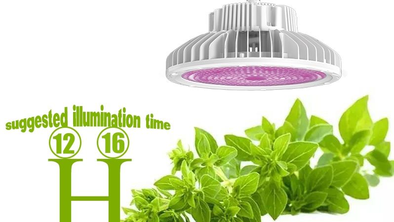 time of led grow light 798x450 - تغییر چرخه رشد گیاهان با نور لامپ رشد گیاه