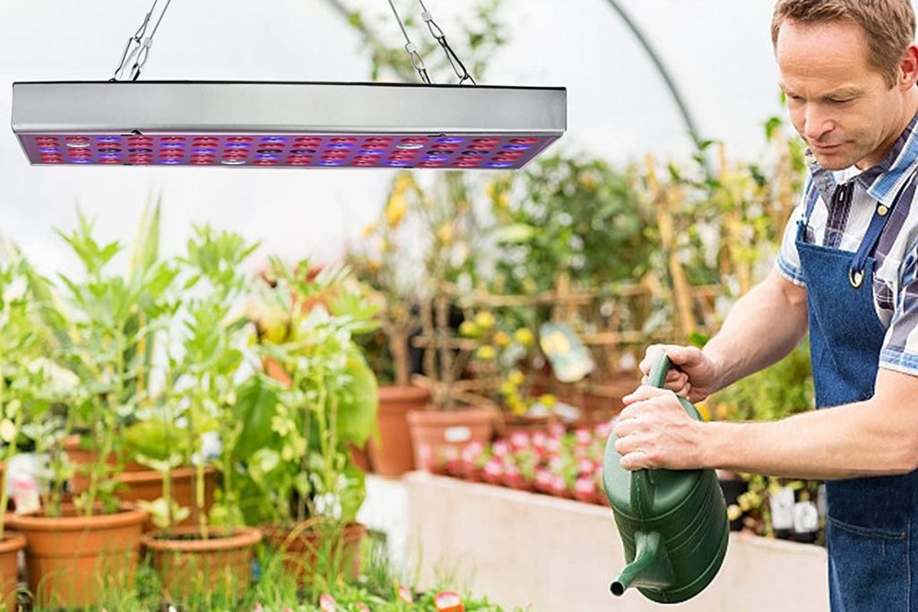 The Best LED Grow Lights 1024x683 - بهترین لامپ رشد گیاه