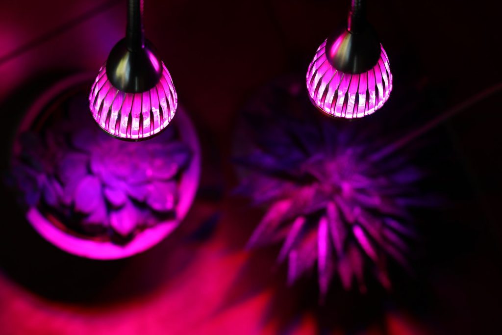 PPunson Dual Head UV IR Plant LED Grow Light 4 fe8870e8de9a4acb9c89bf038f733f03 1024x683 - ۱۰ اشتباه رایج زمان استفاده از چراغ رشد گیاه
