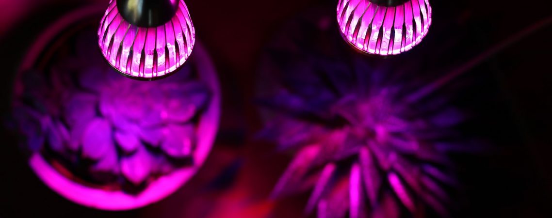 PPunson Dual Head UV IR Plant LED Grow Light 4 fe8870e8de9a4acb9c89bf038f733f03 1138x450 - ۱۰ اشتباه رایج زمان استفاده از چراغ رشد گیاه
