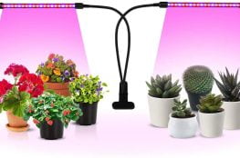 0908080800 263x174 - مرکز فروش لامپ رشد گیاه در تهران و کرج
