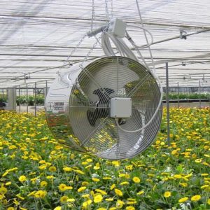 Principles and how to adjust the air conditioning in the greenhouse 300x300 - اصول و نحوه تنظیم تهویه هوا در گلخانه