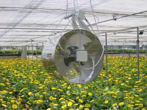 Principles and how to adjust the air conditioning in the greenhouse 500x376 - Principles and how to adjust the air conditioning in the greenhouse