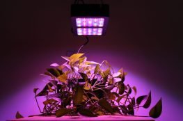 best led grow light scaled.jpg.optimal 263x174 - آیا چراغ های رشد گیاه ال ای دی مادام العمر هستند؟