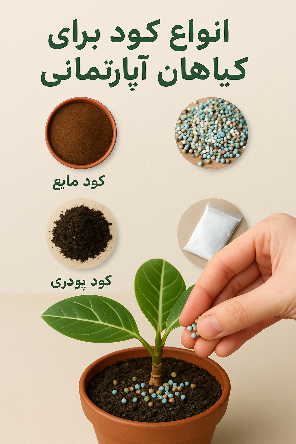file 00000000f734620aabc1b44140255802 - طریقه صحیح کوددهی به گیاهان بصورت جامع و کاربردی