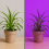 file_000000004a6862468635d4fe241ac377